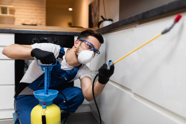Best Mosquito Control Services  in Snow Hill, MD