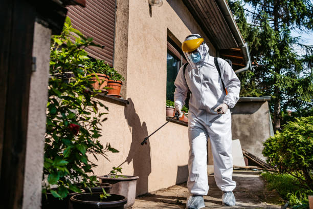 Best Bed Bug Extermination  in Snow Hill, MD