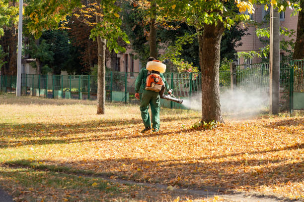 Best Pest Control for Restaurants  in Snow Hill, MD