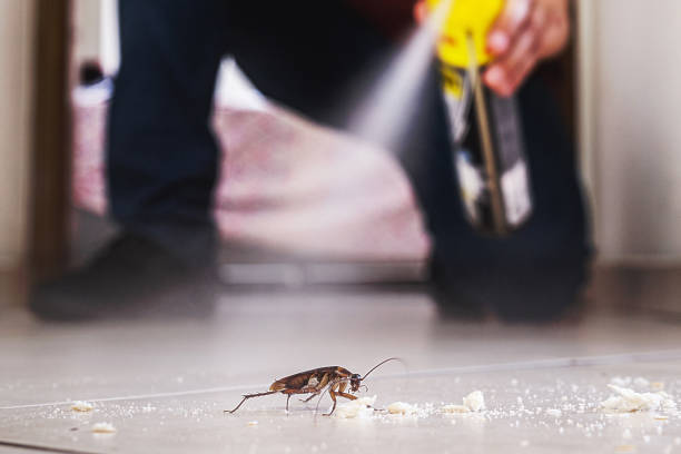 Flea Control Services in Snow Hill, MD
